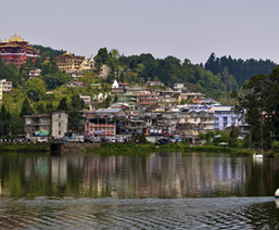 Area to Visit- Mirik