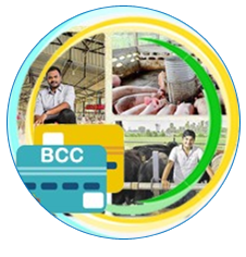 Scheme - Bhabisyat Credit Card Scheme